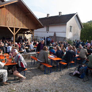 1. Schallerbacher Musiroas