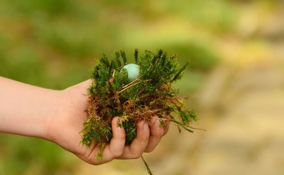 In Gottes Hand geborgen