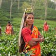 Indische Frauen / © Unsplash / www.pixabay.com CC0 1.0 Indische Frauen
