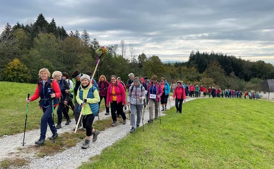 Gruppe gesamt