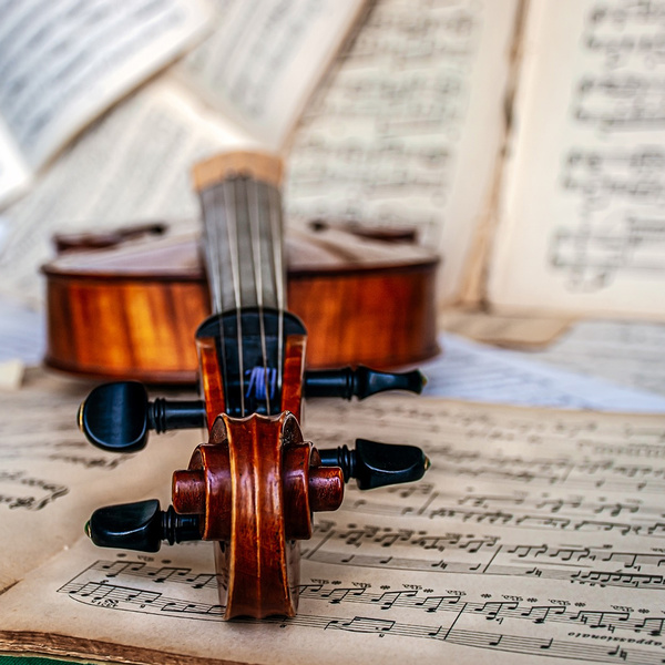 Violine mit Noten / © Ri_Ya/pixabay.com/Pixabay License Violine mit Noten