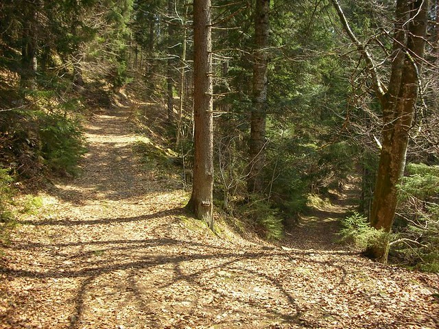 Scheideweg